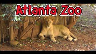 Atlanta Zoo HD 1080p