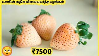 அதிக விலையுர்ந்த பழங்கள் | Most Expensive Fruits In The World | Story Bytes Tamil
