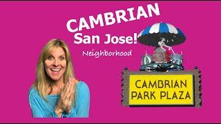 Cambrian San Jose Neighborhood!