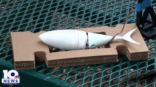 UVA Engineering team testing robotic fish