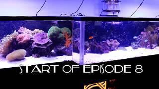 REEF TANK ADDICTION Season 2 Episode 8 ( 410 Gallon AIO Reef Tank 16 Feet Long )