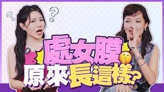 處女膜的構造長這樣？上課沒教的性學知識 ft.月經一姐