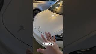 Tesla Charging Costs: Shocking Truth Revealed! 
