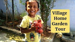 VILLAGE HOME GARDEN TOUR/Garden Tour /Sanjai amma samayal