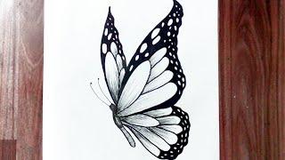 How to draw a butterfly easy step by step