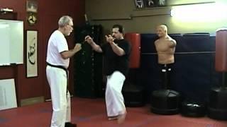 Uechi ryu karate core principles as taught by G.E.Mattson