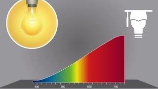 Color Temperature