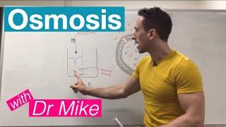 Osmosis | Membrane Transport