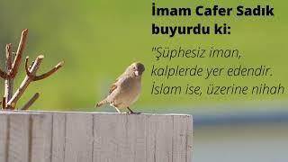 İmam Cafer Sadık Buyrukları #24 (İman ve İslam)