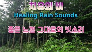 Feel the emotion of the sound of rain / Rain sound for insomnia and tinnitus treatment