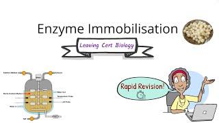 Biology Bugbears Enzyme Immobilisation-Rapid exam revision-Leaving Cert Biology 2025