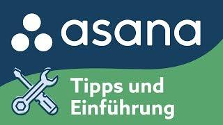 Asana | Einführung und Tipps