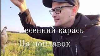 Весенний карась на поплавок в деревне.