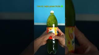 How to make green Fanta #funny #challenge #shorts @VDSReality