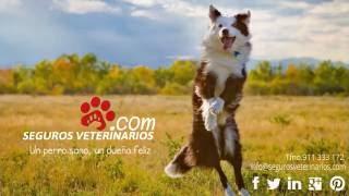 SegurosVeterinarios.com®.- Video Corporativo