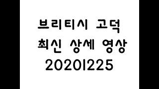 (최신)평택 브리티시 고덕 EBC-2 힐스테이스 고덕 센트럴(상세영상)20201225