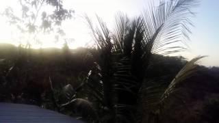 Morning sound from roxyland Costa Rica.