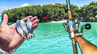 The BEST LIVE BAIT Rig For Slot Snook! *SNOOK SEASON OPENER*