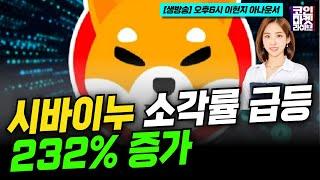 시바이누(SHIB) 소각률 급등, 232% 증가 (이현지)