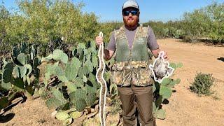 QUAIL HUNTING SOUTH TEXAS!! | BORDER PATROL EVERYWHERE!!