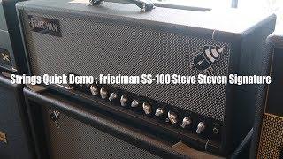 Strings Quick Demo : Friedman SS-100 Steve Steven Signature