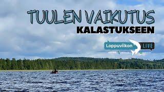 Tuulen vaikutus kalastukseen