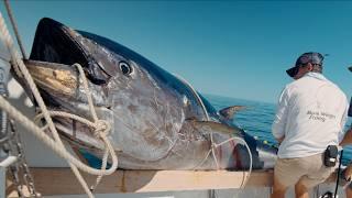 MASSIVE 10ft Tuna... We Broke a Record! (Commercial Bluefin Tuna Fishing)