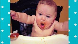 Try Not To Laugh: Funny Babies Hungry | Funny Everyday Compilation