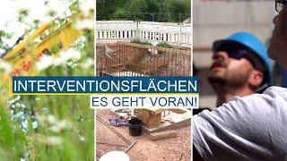 Es geht voran! Von der Baustelle zur Interventionsfläche