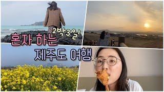 혼자 하는 2박 3일 제주도여행 , 제주도 한바퀴 돌기