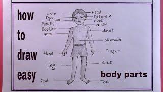 how to draw human body parts step by step/human body parts drawing