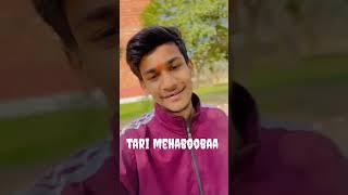 tari mehaboobaa #vlogs #minivlog #shortvideo #reels #shorts