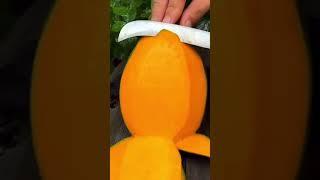 Mango lover || Aam || Yummy Mango cutting video.... love for mangoes 