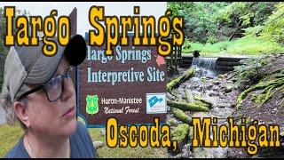 Iargo Springs on the banks of the Au Sable River/ walking paths/ waterfalls/ epic views