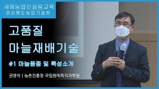 고품질 마늘재배기술 1편 - 마늘품종 및 특성소개