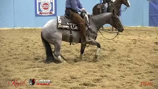 GABE REYNOLDS DIZZEE SPELL 2025 AUGUSTA FUTURITY 56YO OPEN ROLLBACK CHAMPION