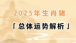 董易奇2025年生肖属猪的人犯太岁运势解析 #生肖猪 #犯太岁 #董易奇 #运势 #生肖运势