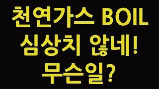 천연가스 가격 전망 BOIL KOLD ETF 주식 주가 선물 TQQQ SOXL TMF 테슬라 니콜라 루시드 아이온큐 팔란티어 조비 에이베이션 플러그파워 바닥 찍을까?