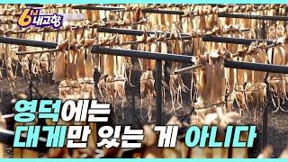 영덕 군민들 직접 등판!! “대게만 찾는 사람들 너어어어무 답답해요”ㅣ KBS 6시 내고향 발길따라 고향 기행 230104 방송