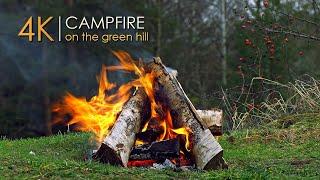 Campfire on a Green Hill ️ Authentic Sounds & Natural Relaxation