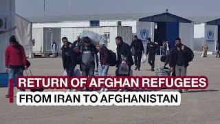 3,000 Afghan refugees return daily via Islam Qala port|بازگشت روزانه مهاجران افغان از ایران به کشور