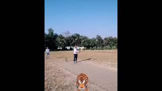 Play Cricket Mohammad Amran Hossain Ifti Graphic Design And Photography