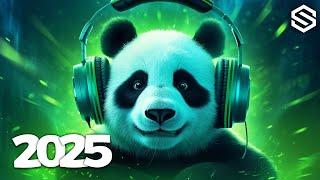 Music Mix 2025  EDM Mixes Of Popular Songs  EDM Bass Boosted Music Mix