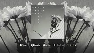 Michael Minelli - Man Who Looked Like Me (Official Audio)