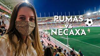 American goes to a Mexican Soccer Game!  Pumas vs Necaxa