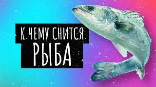 К чему снится рыба. Сонник рыба, толкование сна