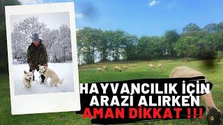 Arazi Alırken Aman Dikkat!