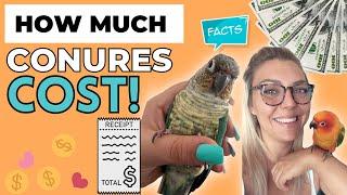 THE TRUE INITIAL COSTS OF GETTING A CONURE