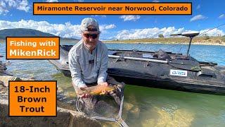 Brown Trout Caught in the Miramonte Reservoir | Shorts