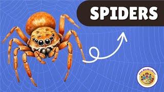 All About Spiders! ️ Fun Facts for Kids | C'mon Kids Let's Learn